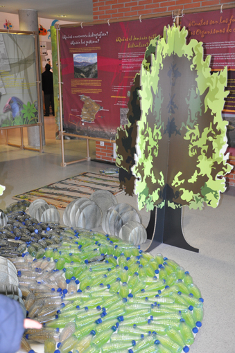 Semana Ciencias en Los Tilos